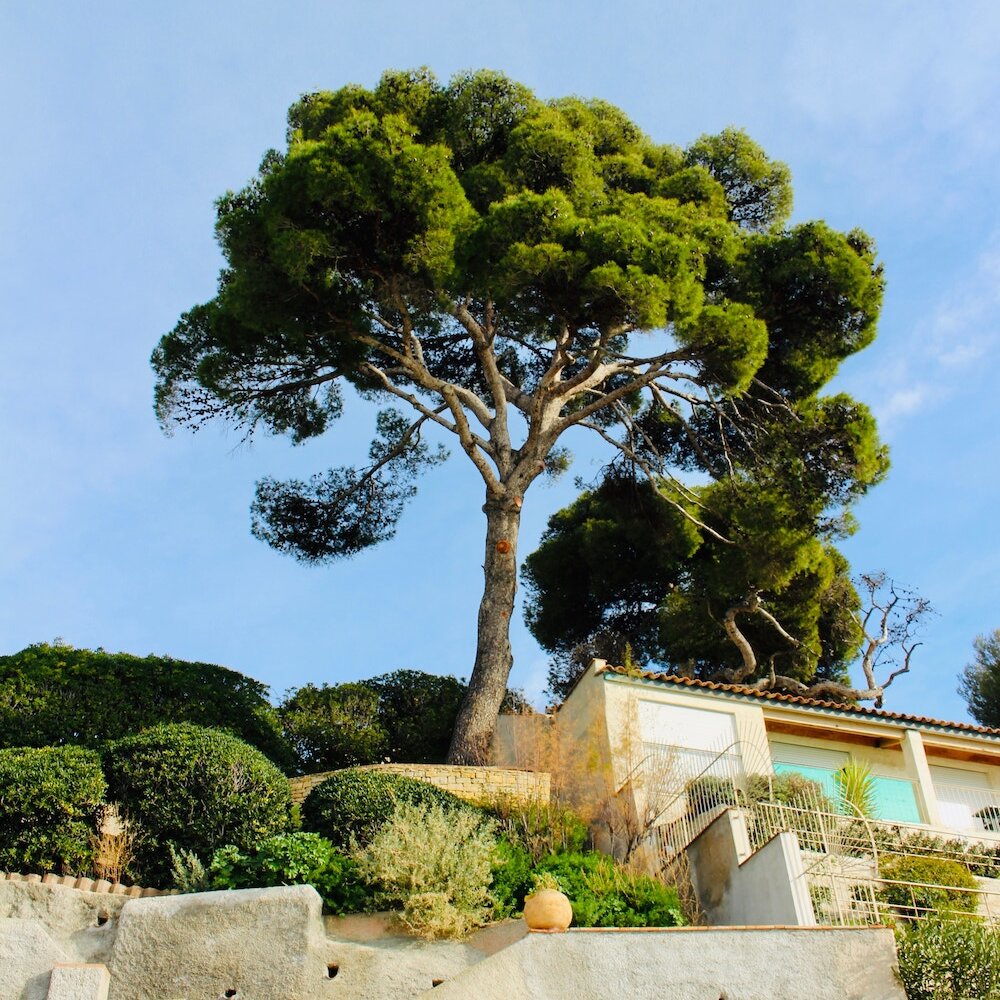 maison provencale marseille
