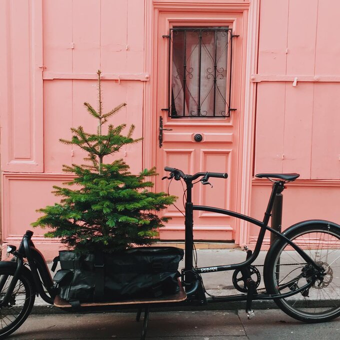 Arbre de Noël