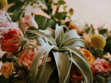 Bouquet sauvage, photo 1 sur 5