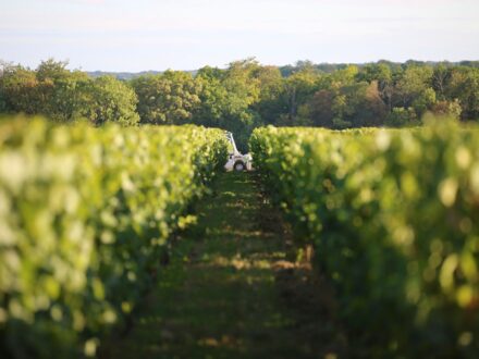 Domaine Séminaire