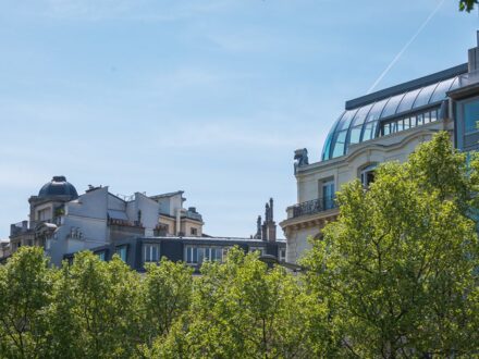 Le rooftop de la Maison de l'Alsace — photo 3