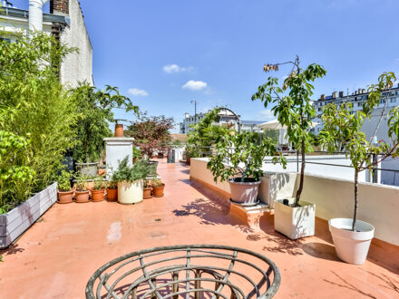 Le rooftop d'Irma — photo 5