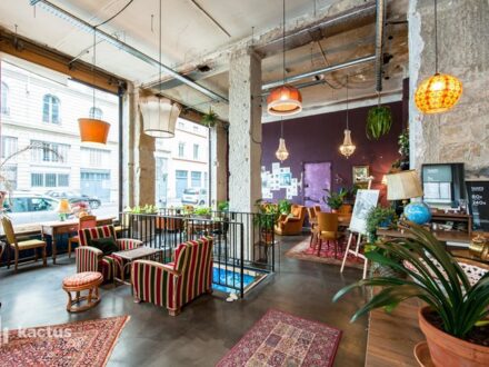 Le salon de Sofiane — photo 5