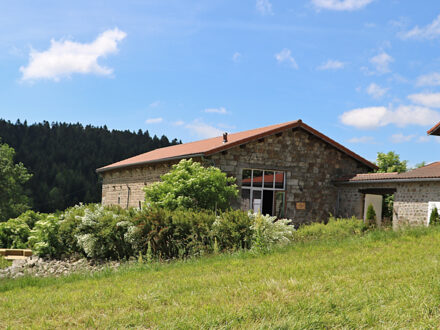 Le Domaine de Lucas — photo 4
