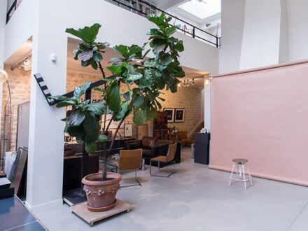 Le studio de Laurence — photo 3