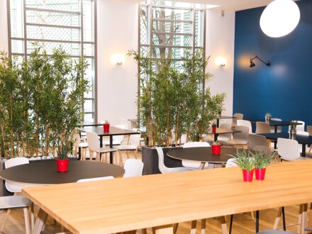La cantine de Clara — photo 3