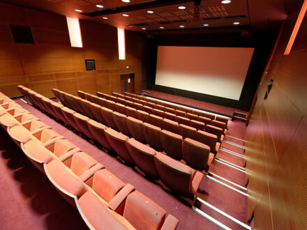 La Cinémathèque Française — photo 5
