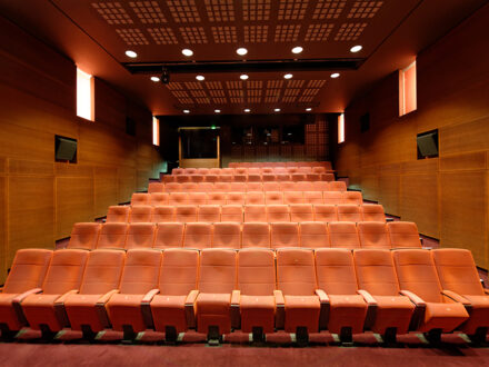 La Cinémathèque Française — photo 4