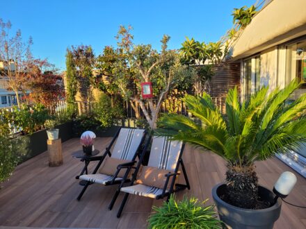 La Terrasse Jasmin de Blanche — photo 3