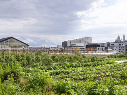 Plantation Paris — photo 2