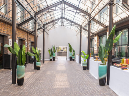 Les Jardins du Marais — photo 3
