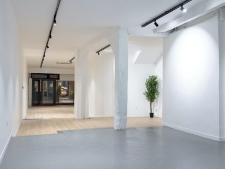 L'espace galerie de Steve — photo 3