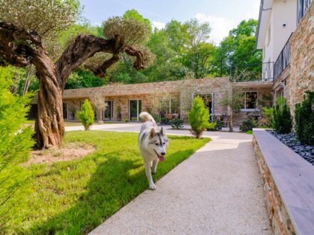 Le Chanelya — photo 2