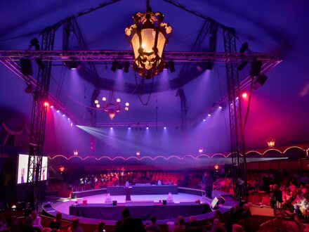 Cirque Théâtre Bormann — photo 5