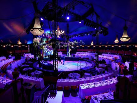 Cirque Théâtre Bormann — photo 2