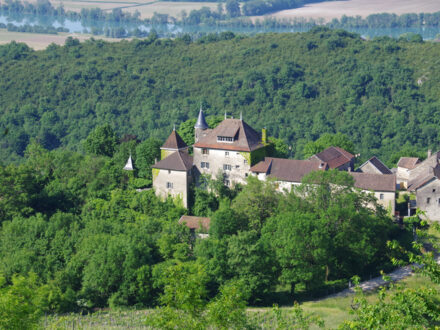 Le domaine eco-responsable de la Tour d'Oncin — photo 2