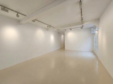 Galerie sur cour dans le Marais — photo 2