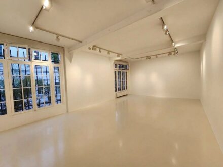 Galerie sur cour dans le Marais — photo 4