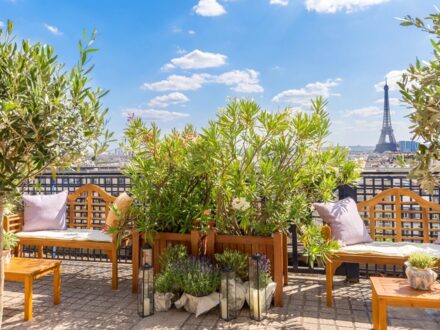 La Terrasse Champs Elysées — photo 3