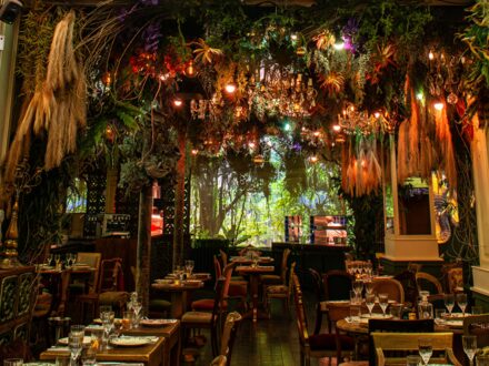 Jungle Palace by Ephemera — photo 4