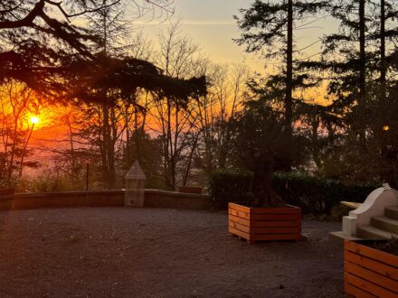 Le domaine Events Montmorency — photo 4