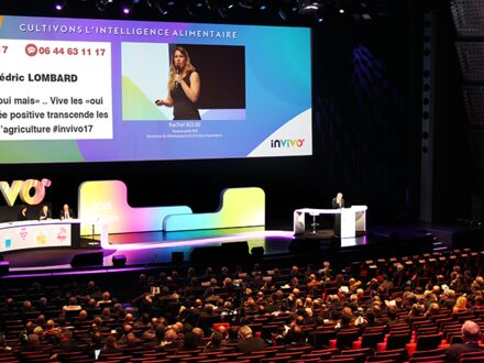 Social Wall, photo 1 sur 2