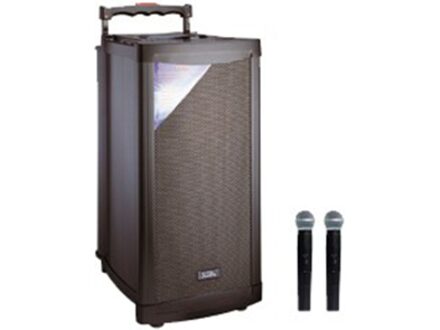 Enceinte amplifiée mobile