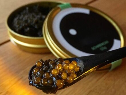Initiation caviar, photo 1 sur 4