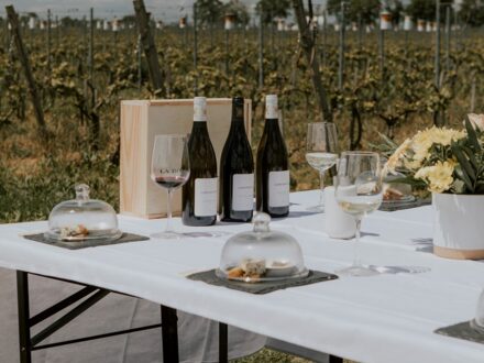 La dégustation accord mets-vins, photo 1 sur 4