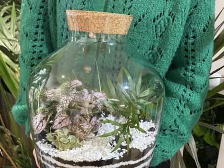 Atelier Terrarium Vivant, photo 1 sur 3