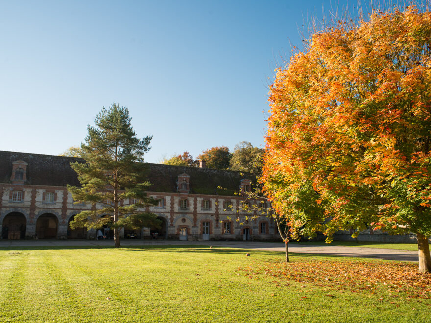 La Maison de Simon au coeur d'un Château
