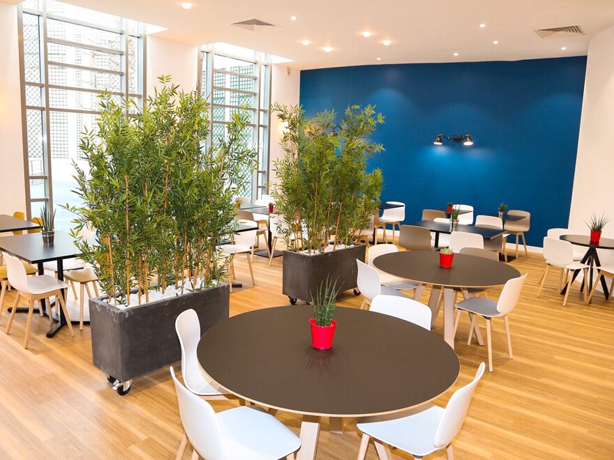 La cantine de Clara
