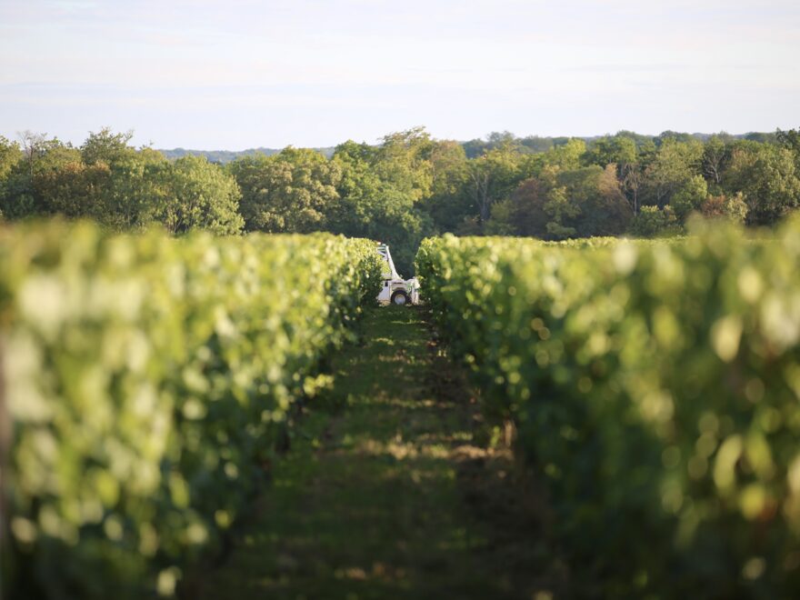 Domaine de la Bouche du Roi