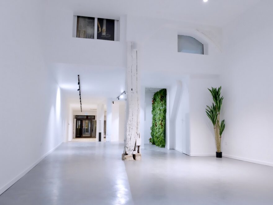 L'espace galerie de Steve