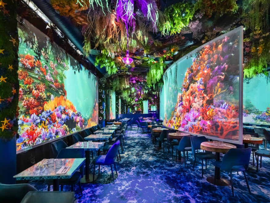 Under The Sea by Ephemera