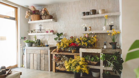 L'espace holistique, photo 1 sur 5