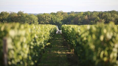 Domaine de la Bouche du Roi, photo 1 sur 5