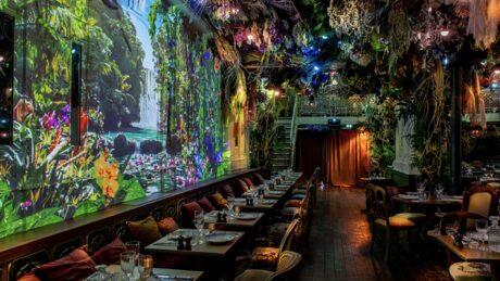 Jungle Palace by Ephemera, photo 1 sur 5