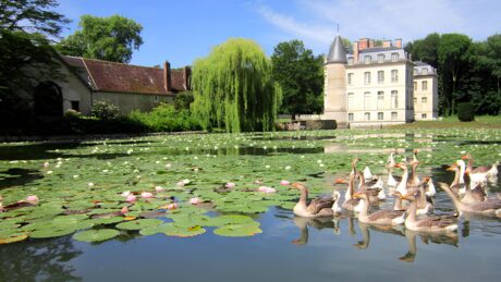 Domaine de Verderonne, photo 1 sur 5