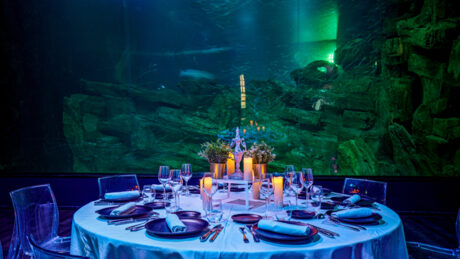 Les Salons de l’Aquarium de Paris et ses terrasses, photo 1 sur 5