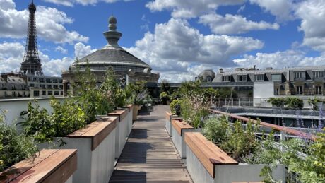 Le rooftop du Musée National des arts asiatiques, photo 1 sur 4