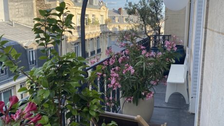 L'appartement d'Ed, photo 1 sur 5